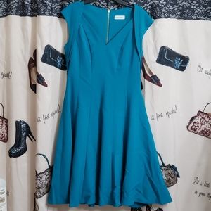 Calvin Klein flare bottom dress